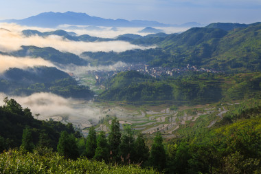 稻田在日出