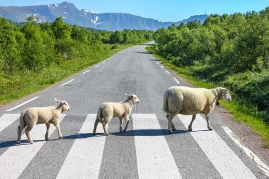 国家道路交叉口图片
