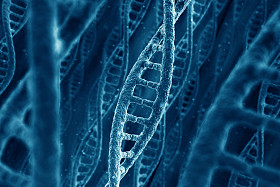 dna 链图片