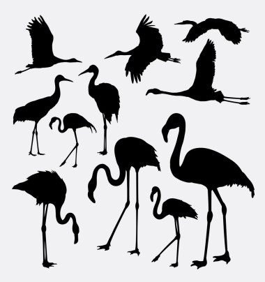 行動中的火烈鳥剪影