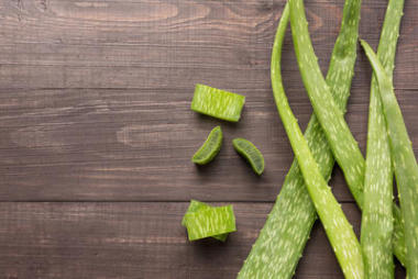 蘆薈鮮葉木制的桌子上