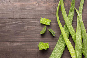 芦荟鲜叶木制的桌子上