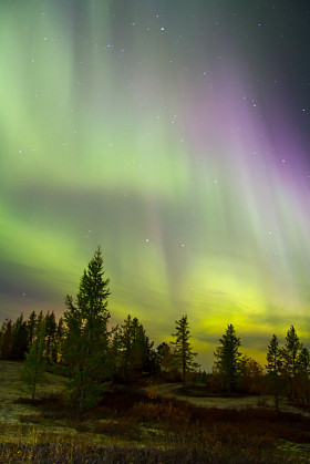 北极光 (北极光)图片