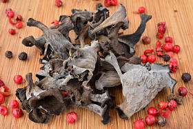 干的 Craterellus cornucopioides