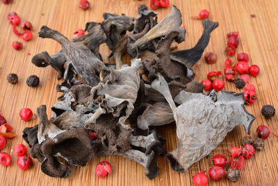 干的 Craterellus cornucopioides