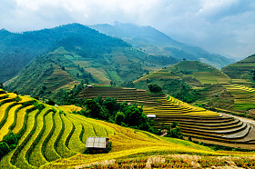 稻田上的梯田的木仓柴，Yenbai，越南