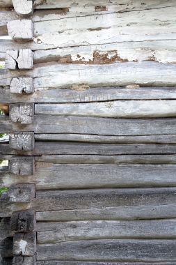 从日志作为背景纹理的木墙图片