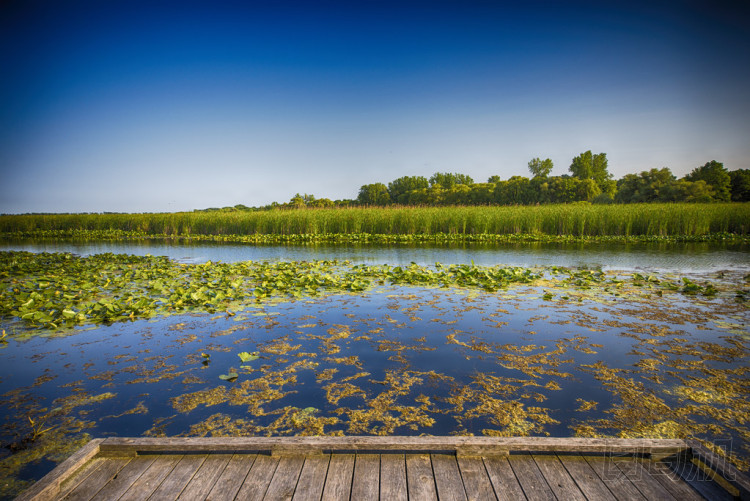 點 pelee 國家公園浮橋