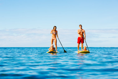 家庭乐趣，站起来划动