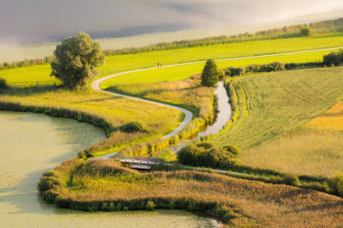 在霍普芬湖湖沼澤地照片