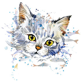 有趣的小猫和鱼 t 恤图形，逗小猫图与飞溅水彩纹理背景。插图水彩小猫时尚打印，纺织品，服装设计的海报