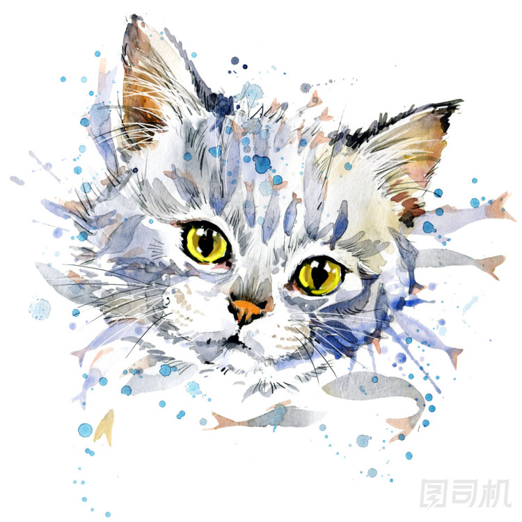 有趣的小貓和魚 t 恤圖形，逗小貓圖與飛濺水彩紋理背景。插圖水彩小貓時尚打印，紡織品，服裝設(shè)計(jì)的海報