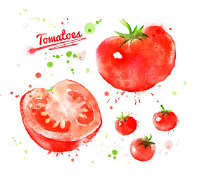 水彩手绘西红柿
