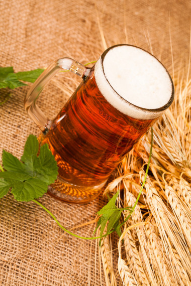 杯淡啤酒和大麦的穗状花序照片