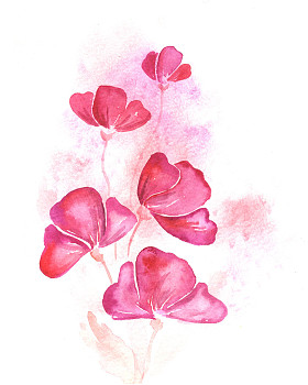 水彩插画图片