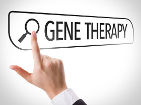 在搜索栏中写的基因治疗