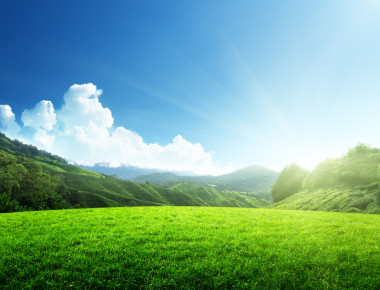 春草和山野图片