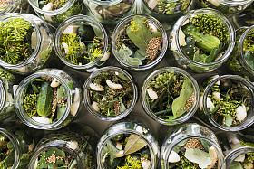 准备将腌黄瓜图片