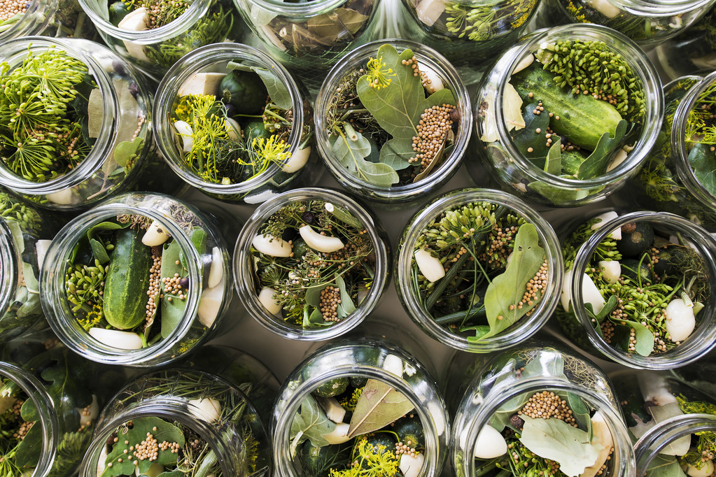 准备将腌黄瓜图片