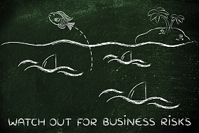 提防那些业务风险图