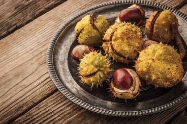 栗子与电影旧的老式金属板上筛选水平的影响