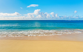 海滩和热带海