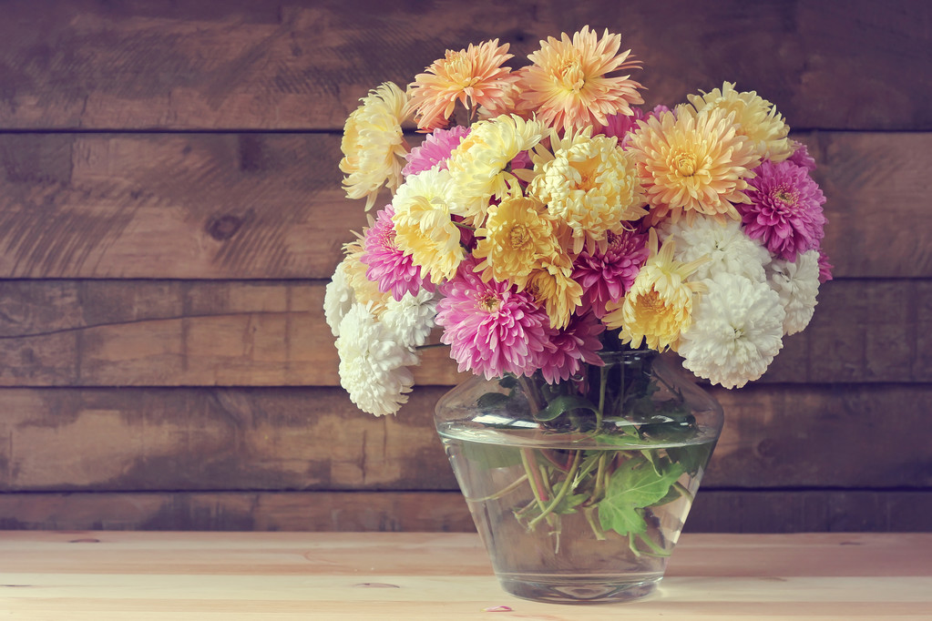 静物与一束.照片