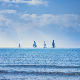 海水或海洋帆船游艇帆船比赛图片