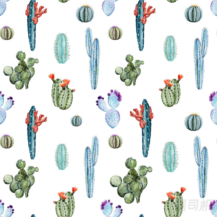 水彩仙人掌模式