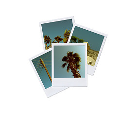 即时照片。宝 丽 来照片