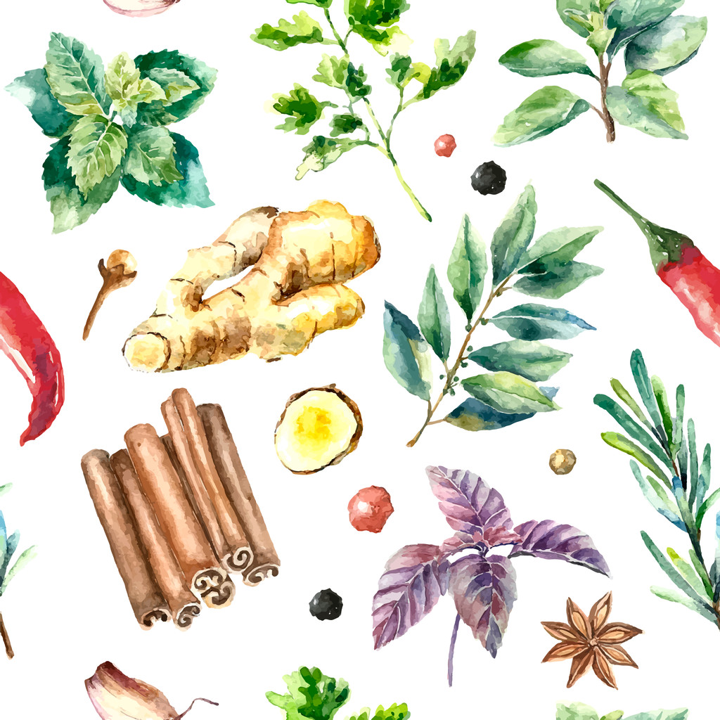 水彩无缝图案的新鲜草药和香料分离