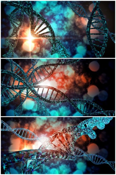 Dna 鏈拼貼圖片