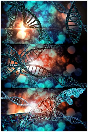 Dna 链拼贴图片
