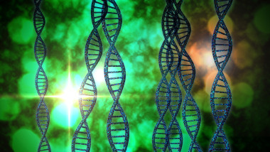 dna 鏈