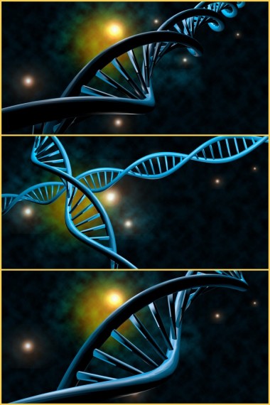 Dna 鏈拼貼