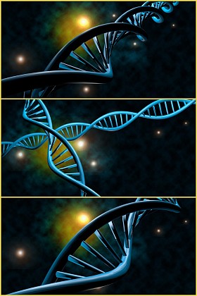 Dna 链拼贴