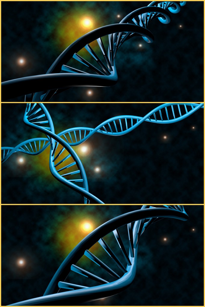 Dna 链拼贴