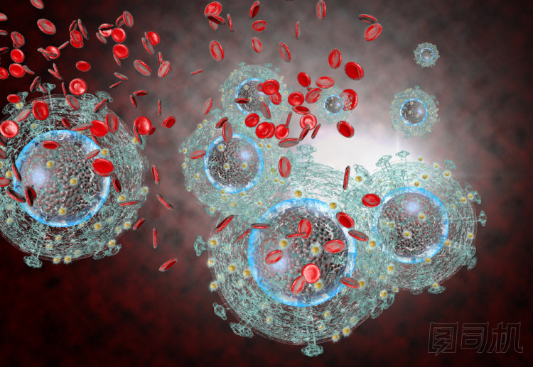 艾滋病 Hiv 病毒圖片