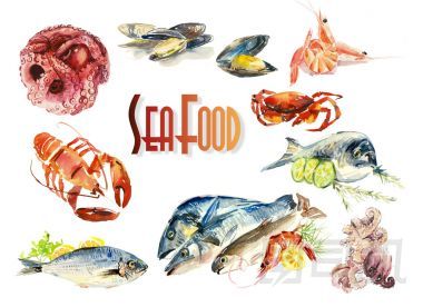 魚和海鮮。菜單.圖片