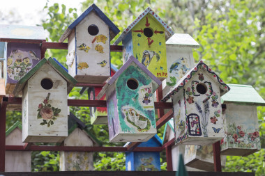 在公园里的多彩木制鸟屋照片