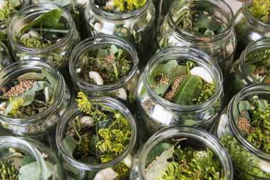 准备小黄瓜照片