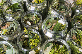 准备小黄瓜照片