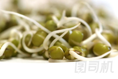 綠豆豆芽圖片