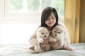 小亚洲玩哈士奇幼犬图片