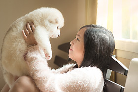 小亚洲玩哈士奇幼犬图片
