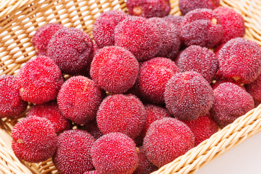 紅色和成熟的楊梅紅圖片