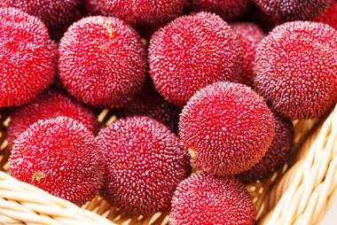 紅色和成熟的楊梅紅照片