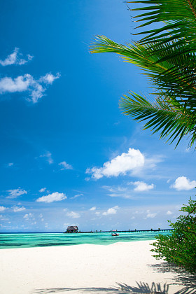 在马尔代夫的热带海滩