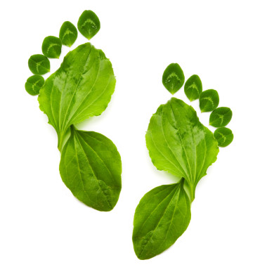 藝術(shù)抽象春天生態(tài)符號綠色腳打印