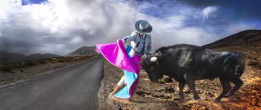 战斗从西班牙公牛图片。黑公牛